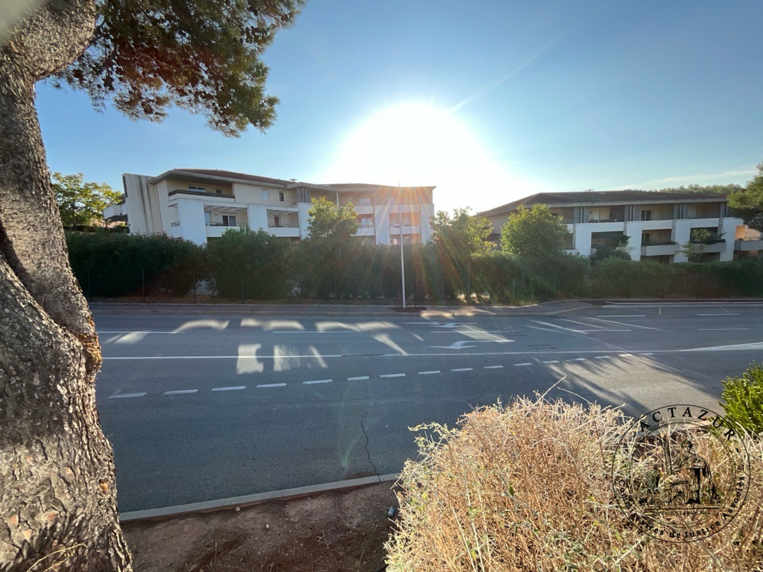 Foto von Master-Report